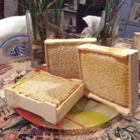 Мёд СОТОВЫЙ минирама (Мёд урала) - магазин здорового питания «Добрый лес»