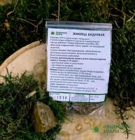 Живица Кедровая 100% 15гр (Сибирские кедры) - магазин здорового питания «Добрый лес»