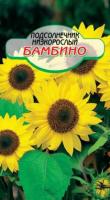 Подсолнечник Бамбино низкорослый 0.3гр (ССС) - магазин здорового питания «Добрый лес»